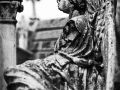 Franck Rondot Photographe   016   cimetiere  paris  pere lachaise