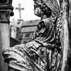 Franck Rondot Photographe   016   cimetiere  paris  pere lachaise