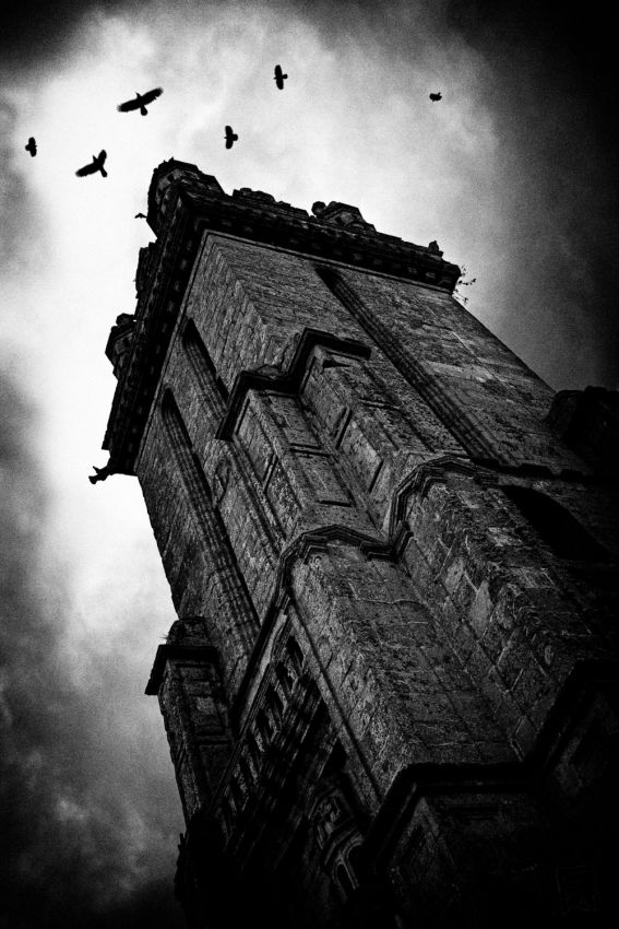 Franck Rondot Photographe   021   bretagne  bretonne  Cathedrale  eglise  famille  finistere  hivers  pleyben  renck  rondot Franck Rondot Photographe   021   bretagne  bretonne  Cathedrale  eglise  famille  finistere  hivers  pleyben  renck  rondot