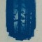 060219-10 Lumiere - Cyanotype
